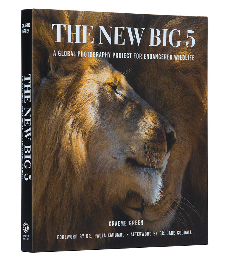 New Big 5 inside page 4
