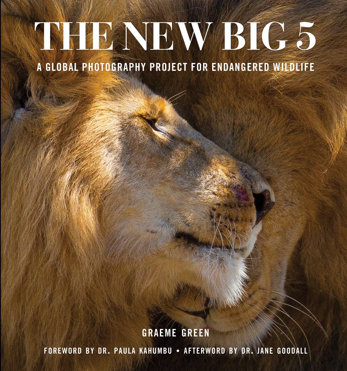 New Big 5