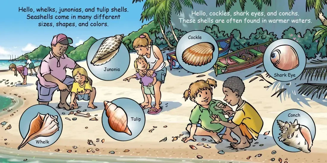 Good Night Seashells US - Board book