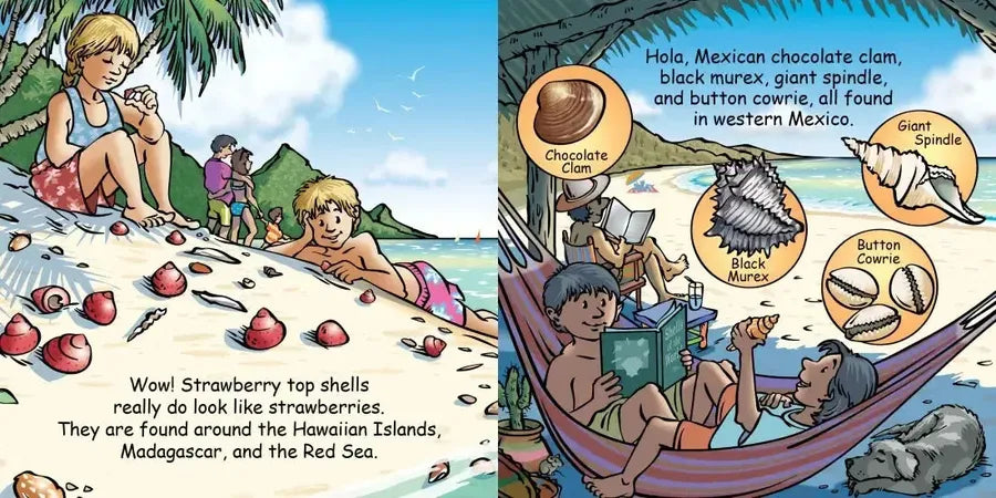 Good Night Seashells US - Board book