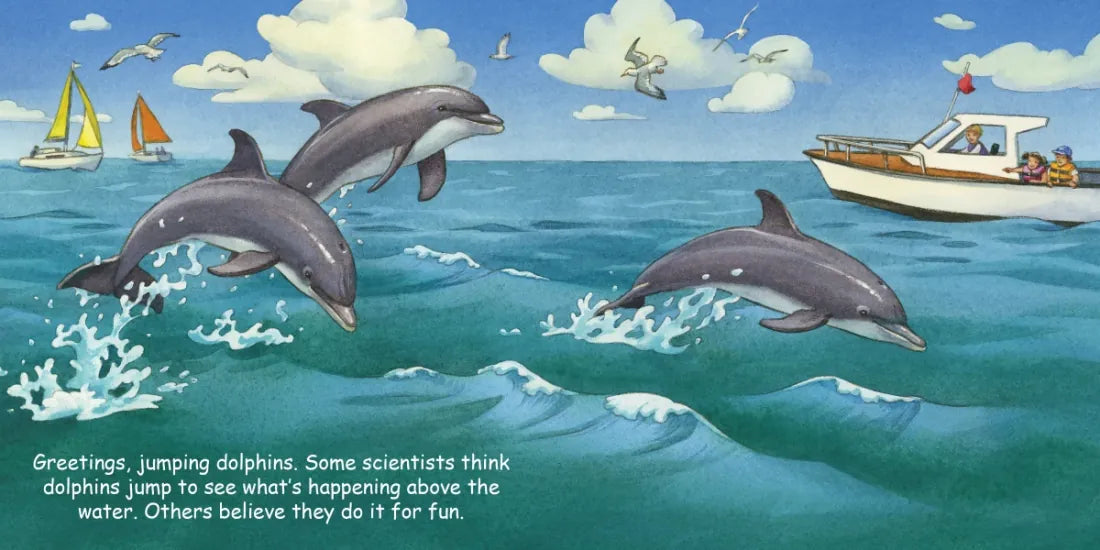 Good Night Dolphins US - Board book
