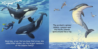 Good Night Dolphins US - Board book