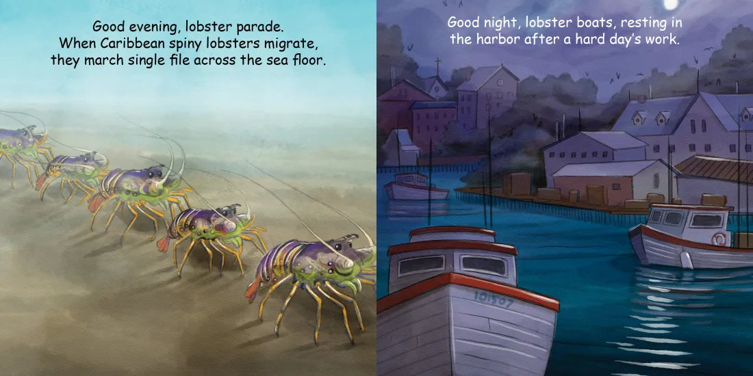 Good Night Lobsters US - Board book
