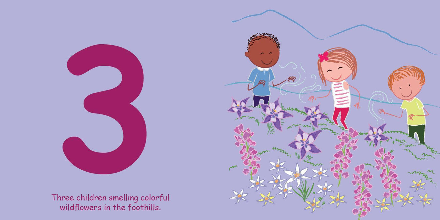 Count to Sleep Boulder US - Board book