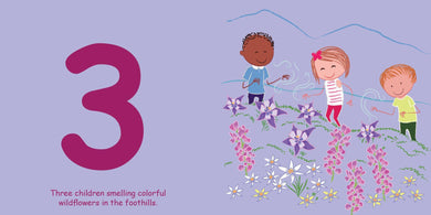 Count to Sleep Boulder US - Board book