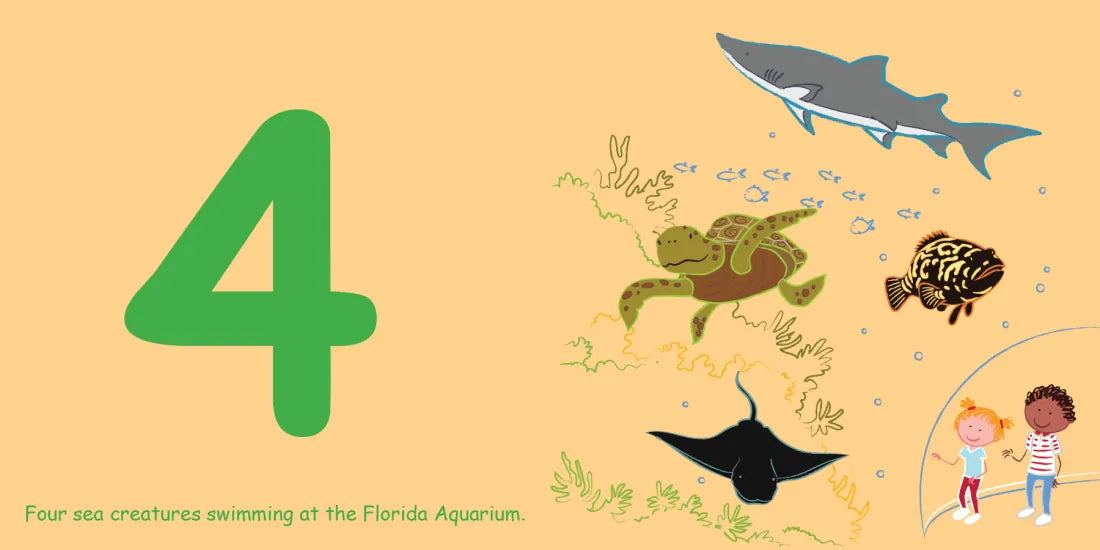 Count to Sleep Tampa Bay US - Board book