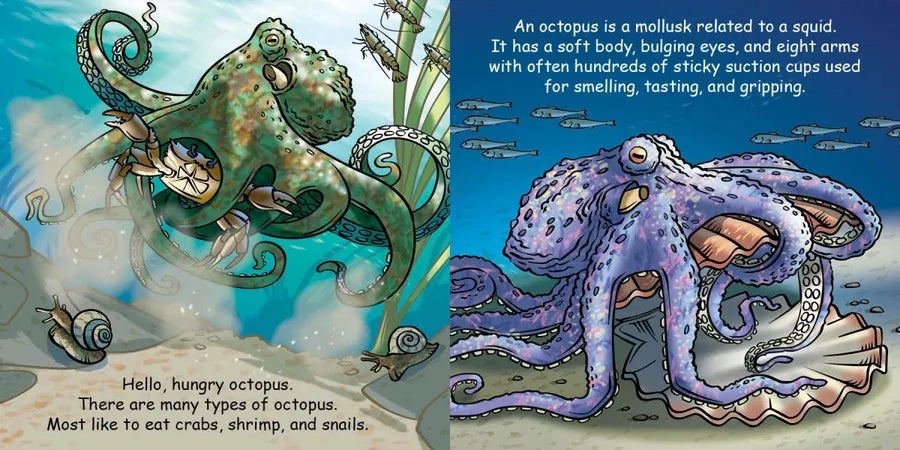 Good Night Octopus US - Board book