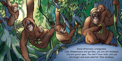 Good Night Monkeys US - Board book