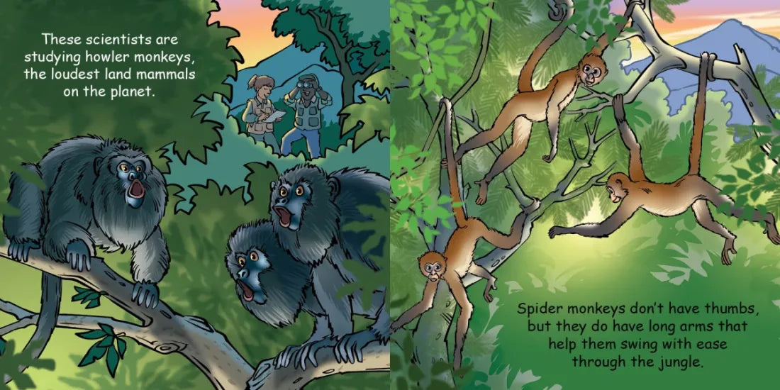 Good Night Monkeys US - Board book