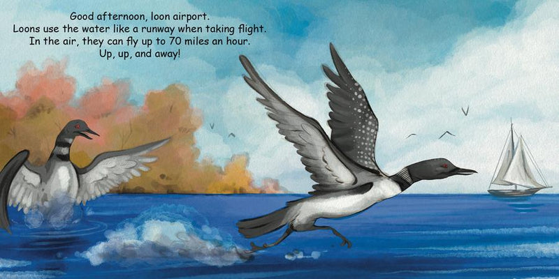 Good Night Loons US - Board book