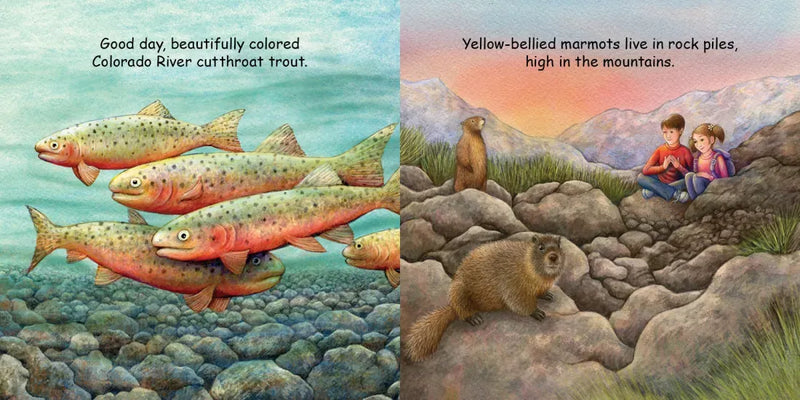 Good Night Colorado Animals US - Board book