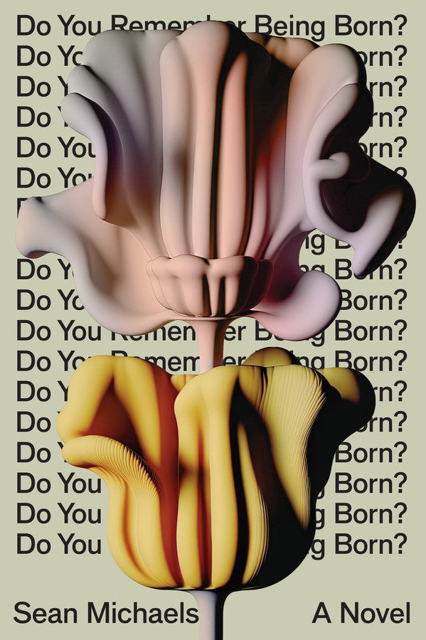 Do You Remember Being Born?-Fiction: general and literary-買書書 BuyBookBook