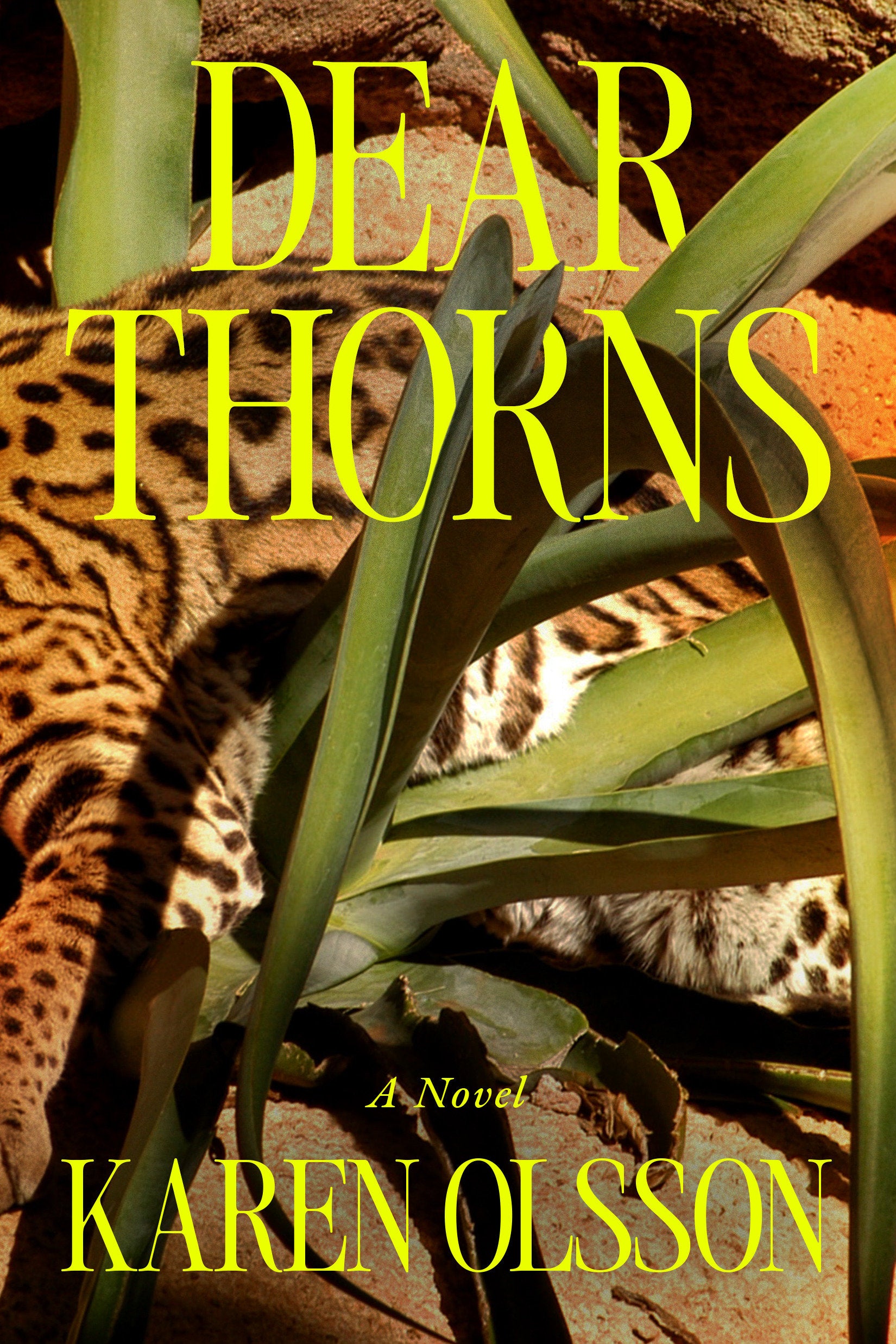 Dear Thorns