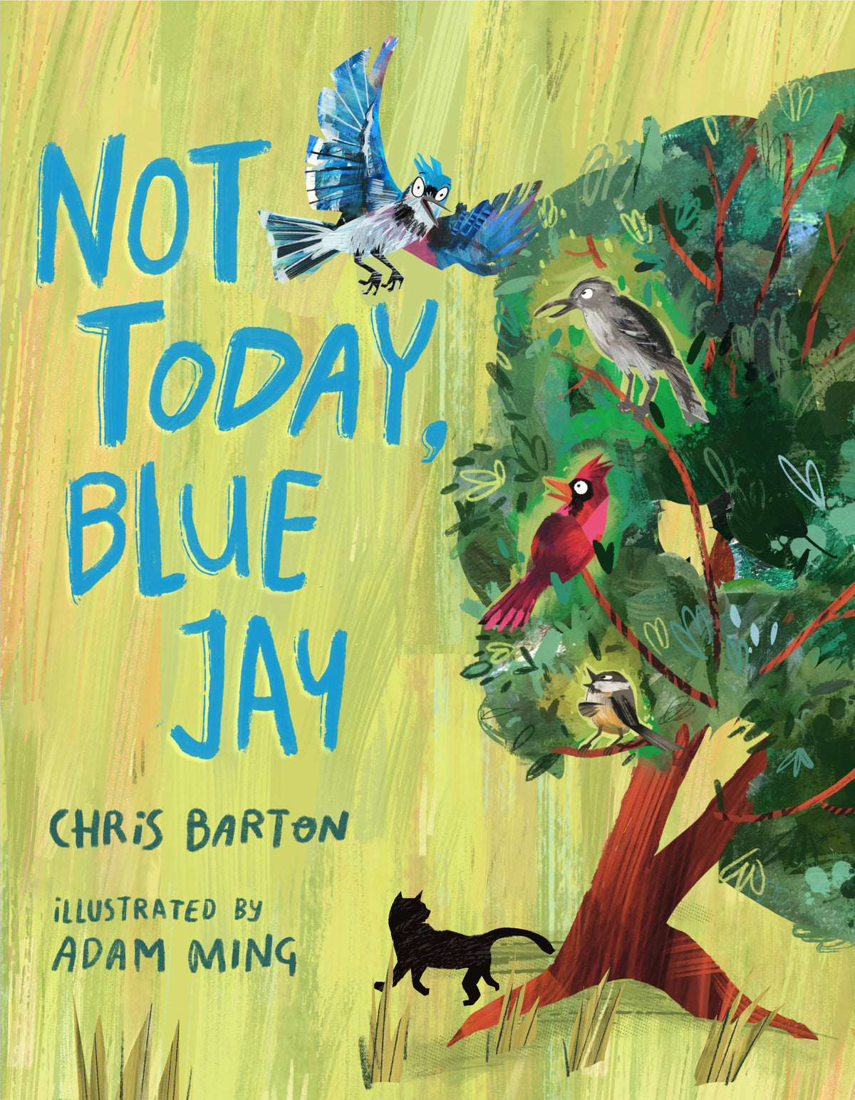 Not Today, Blue Jay cover (ISBN 9781662621222)