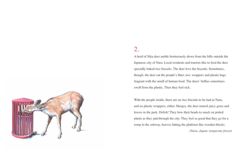 Sea Lions in the Parking Lot US - Hardback