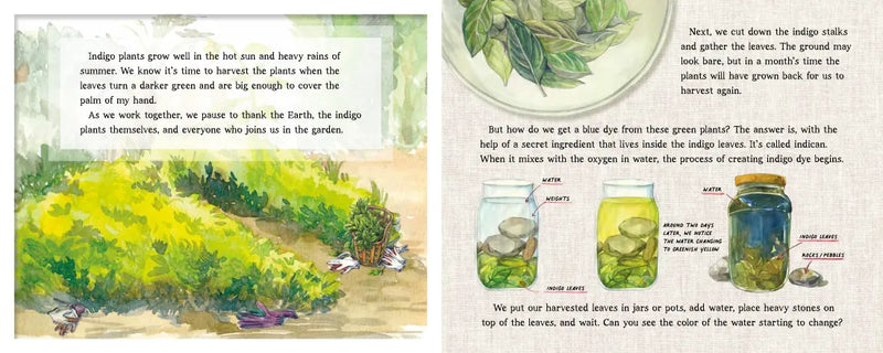 My Indigo World US - Hardback