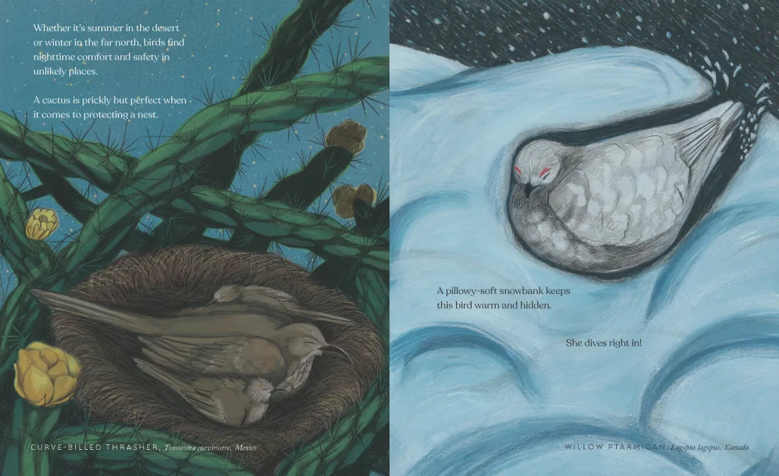 How Birds Sleep US - Hardback