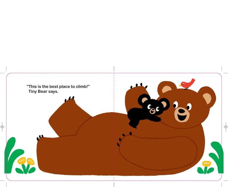 Hello, Tiny Bear US - Board book