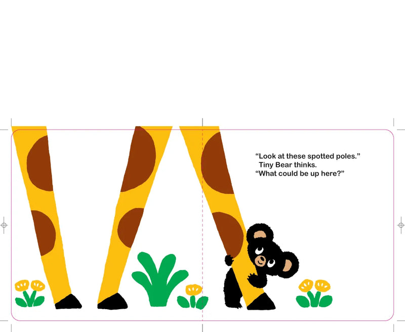 Hello, Tiny Bear US - Board book