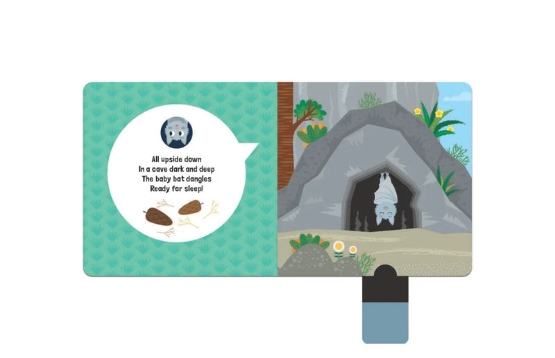 Where Do You Sleep? (A Pull Tab Book) US - Board book