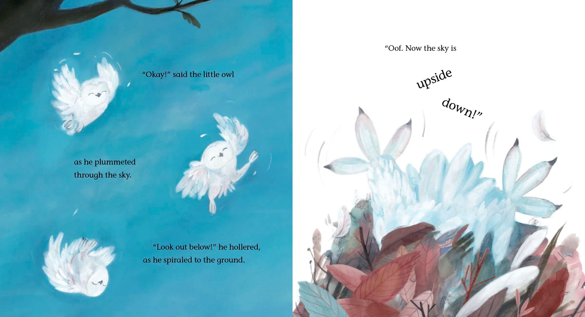 The Owl Who Dared US - Hardback