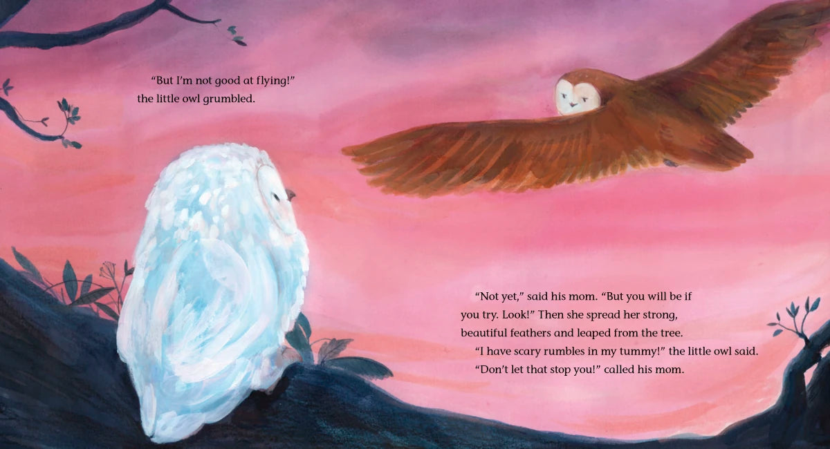The Owl Who Dared US - Hardback