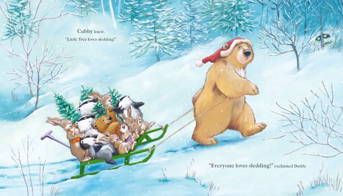 The Littlest Christmas Tree US - Hardback