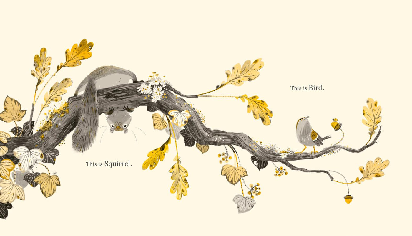 Squirrel and Bird US - Hardback