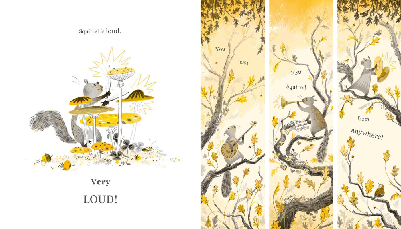 Squirrel and Bird US - Hardback