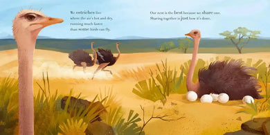 Whose Nest Is Best? US - Hardback