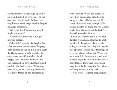 Little Owl Rescue US - Paperback / softback