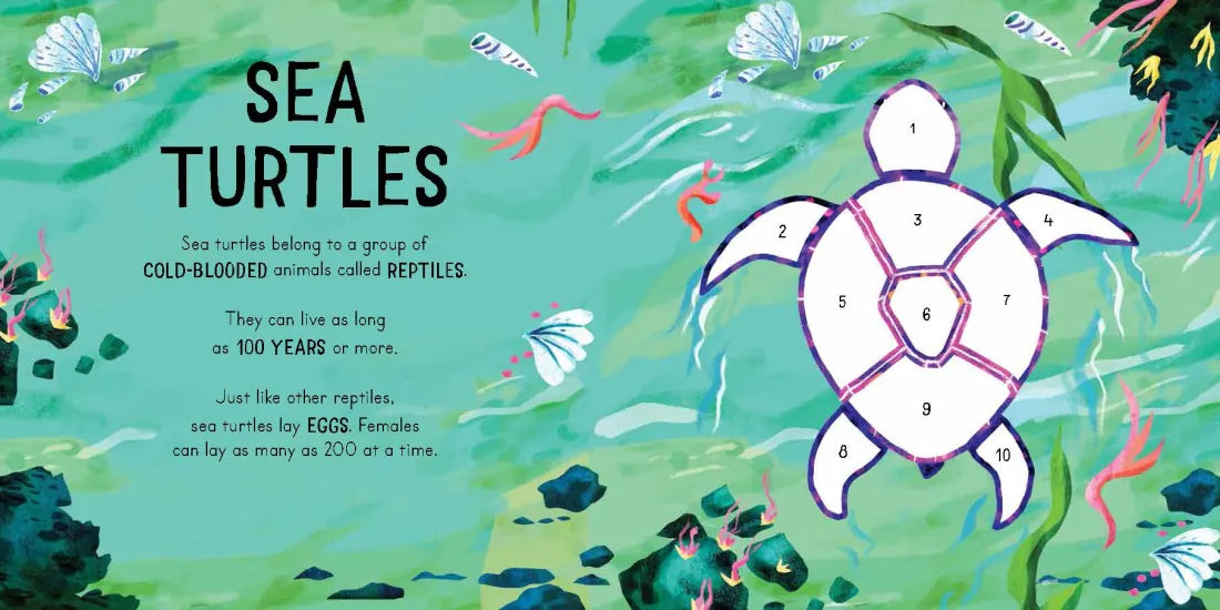 Color with Stickers: Ocean US - Paperback / softback