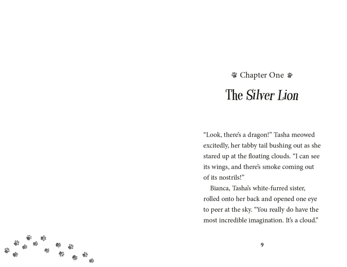 The Treasure Map US - Paperback / softback
