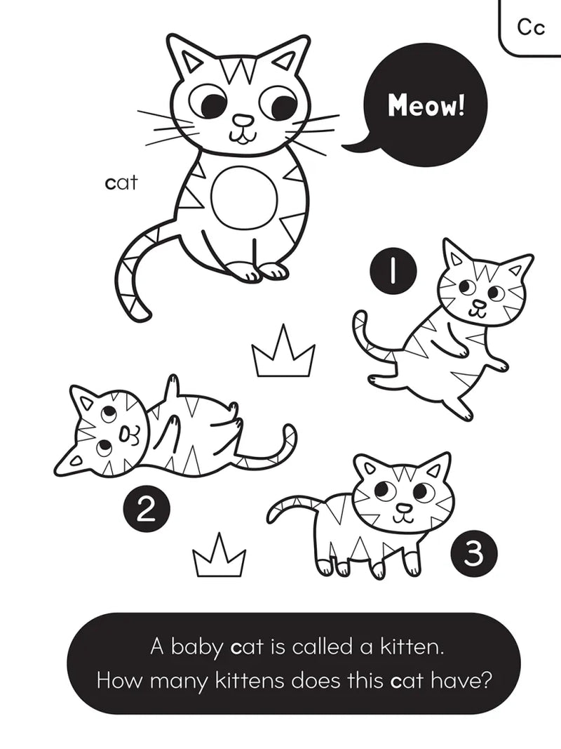 ABC Color and Learn US - Paperback / softback