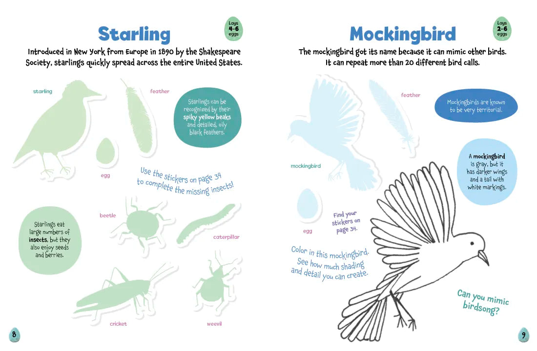 All About Birds Sticker Activity Book US - Paperback / softback