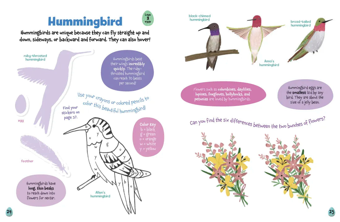 All About Birds Sticker Activity Book US - Paperback / softback