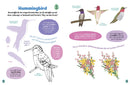 All About Birds Sticker Activity Book US - Paperback / softback