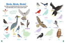 All About Birds Sticker Activity Book US - Paperback / softback