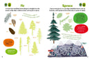 All About Trees Sticker Activity Book US - Paperback / softback