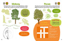 All About Trees Sticker Activity Book US - Paperback / softback