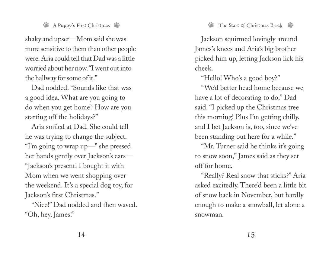 A Puppy's First Christmas US - Paperback / softback