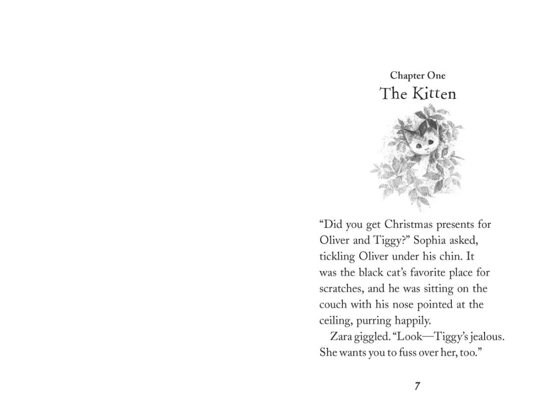 The Kitten Next Door US - Paperback / softback