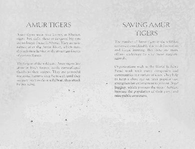 The Orphaned Tiger US - Paperback / softback