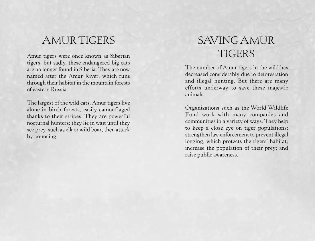 The Orphaned Tiger US - Paperback / softback
