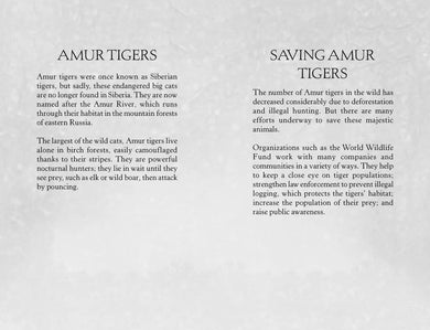 The Orphaned Tiger US - Paperback / softback