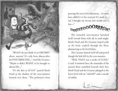 The Pirate's Eye US - Paperback / softback