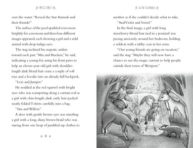 Mystic Forest US - Paperback / softback