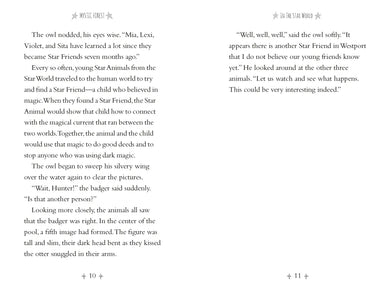 Mystic Forest US - Paperback / softback