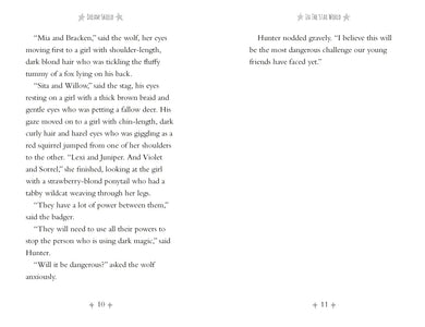 Dream Shield US - Paperback / softback