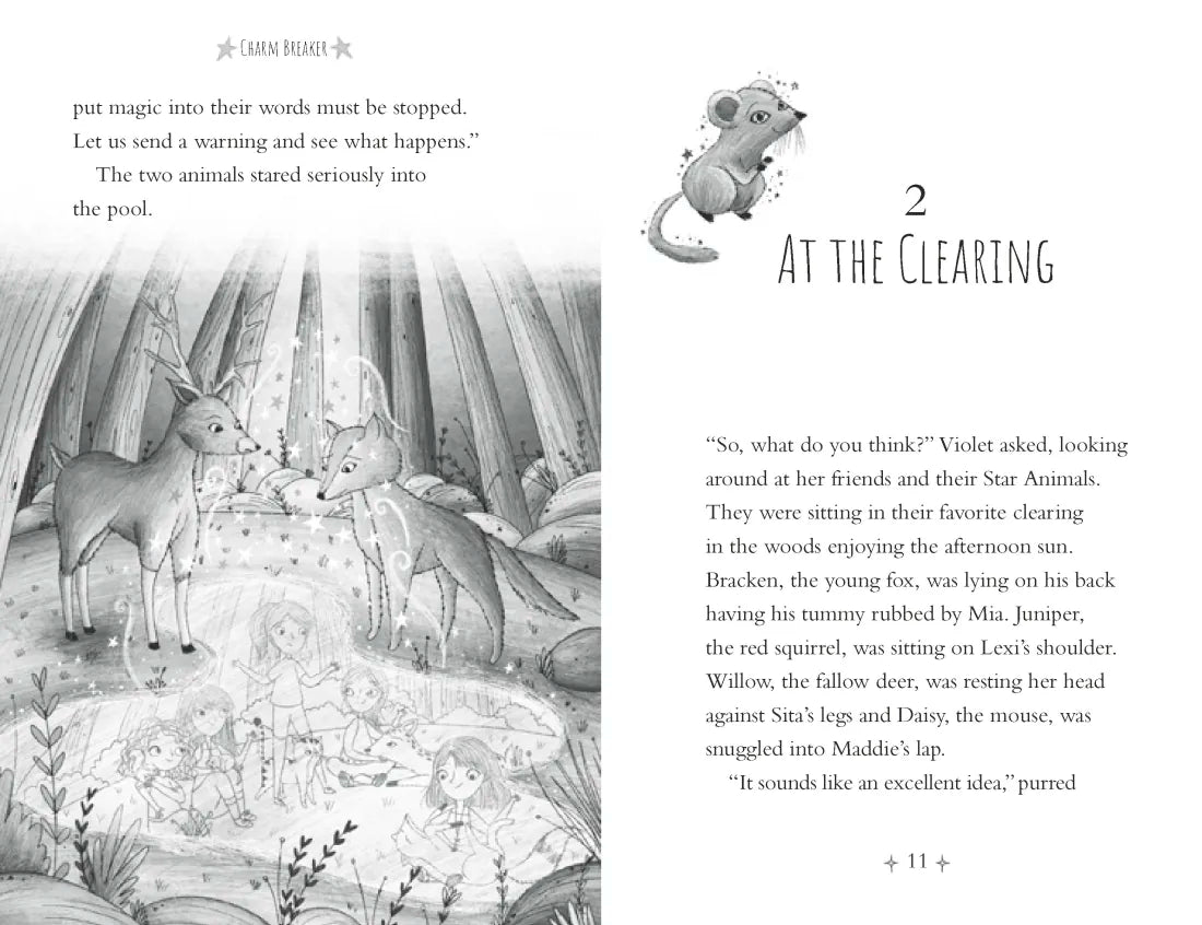 Charm Breaker US - Paperback / softback